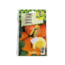 Semence potiron rouge vif d'etampes 6g -  - meilleure qualité