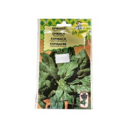 Semence epinard géant d'hiver -  - meilleure qualité