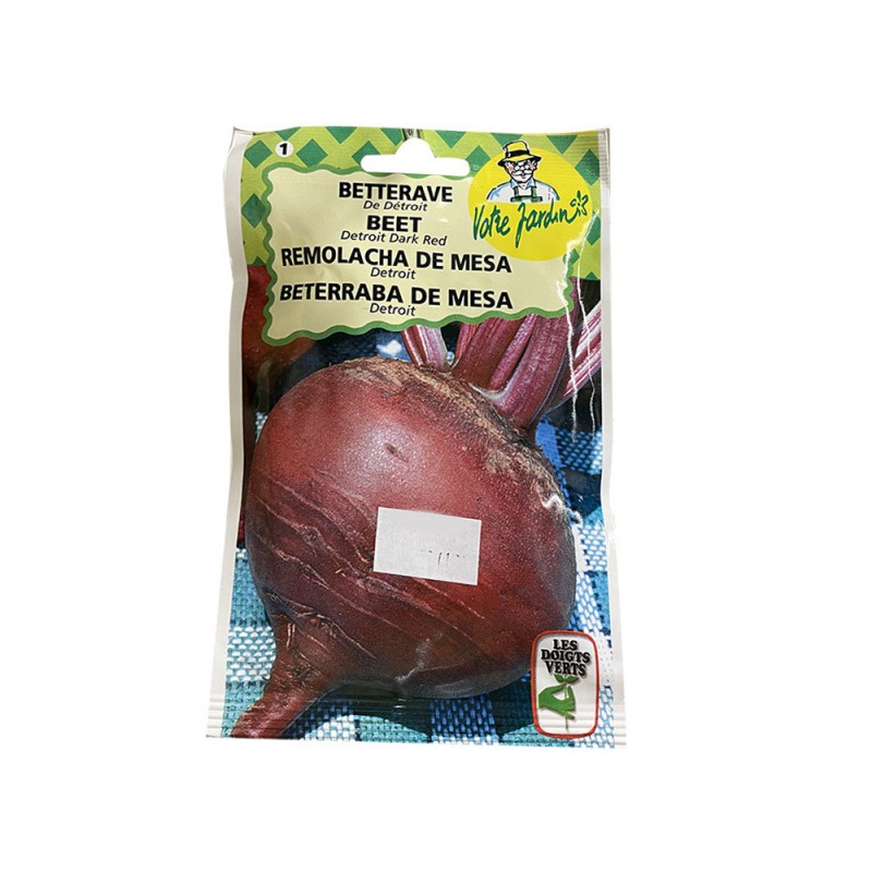 Semence betterave de détroit sht de 10g -  - meilleure qualité