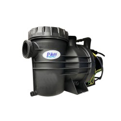 Pompe pour piscine serie lourde PB-200 15KW - 30M3-H - 220V