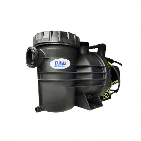 Pompe pour piscine serie lourde PB-200 15KW - 30M3-H - 220V