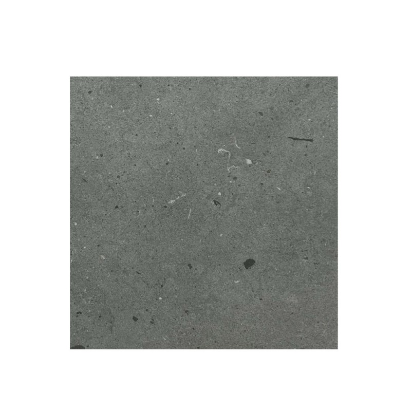 Carrelage 60x60cm A06GBHAV-LIG-M0X0R GP -  - meilleure qualité