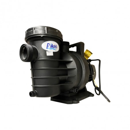 Pompe pour piscinePC-150 11KW -234M3-H - 220V