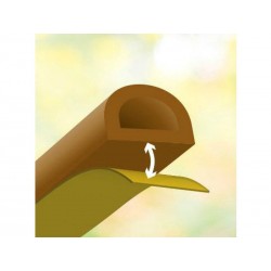 Joint de porte et fenêtre AXTON 2 à 6 mm L. 6 m marron