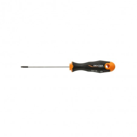 Tournevis Torx T10, L.100 Mm Dexter Pro|Sanifer