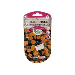 Fleur oeillet inde double nain petite orange 1g -  - meilleure qualité