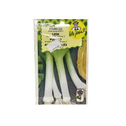 Semence poireau gros long d'eté 4g -  - meilleure qualité