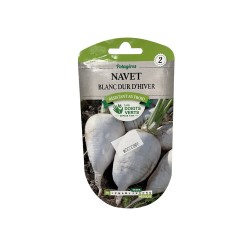 Semence navet blanc dur d'hiver 5g -  - meilleure qualité