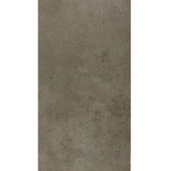 Carrelage mural 30x60cm 09GZSUR-CP0.M0R