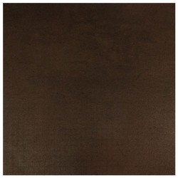 Carrelage sol 60X60cm06G6SEN-BR0.M0L GC