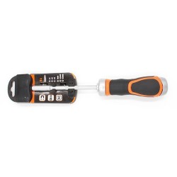 Tournevis avec 6 embouts*