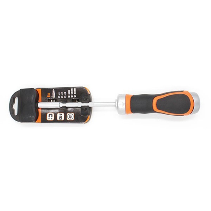 Tournevis avec 6 embouts*