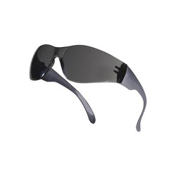 Lunette BRAVA 2 fumé