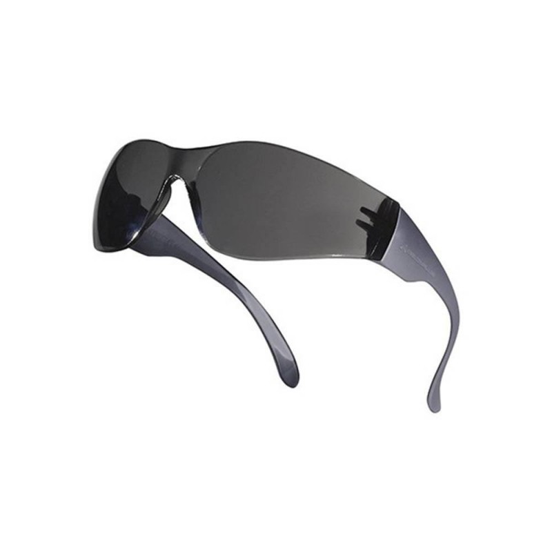 Lunette BRAVA 2 fumé