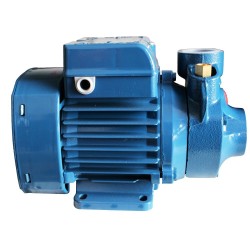 Pompe de surface PKm 60 Hmt 38m-2.4m3/H -  - meilleure qualité