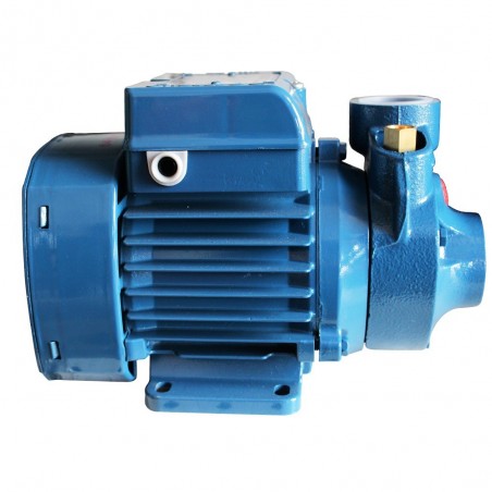 Pompe de surface PKm 60 Hmt 38m-2.4m3/H -  - meilleure qualité