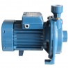Pompe de surface CPm100 Hmt15m-3.6m3/H -  - meilleure qualité