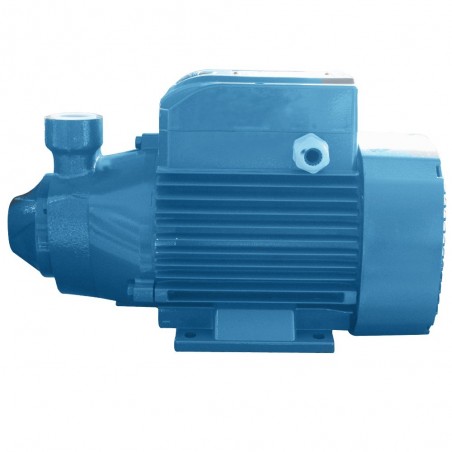 Pompe de surface PKm 100 Hmt 80m-4.2m3/H -  - meilleure qualité