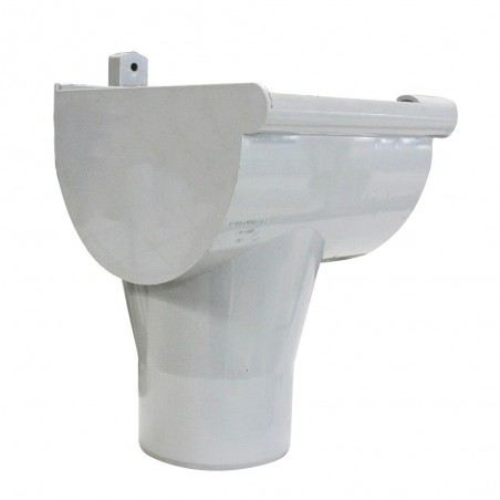 Naissance gauche à coller