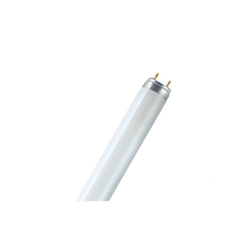 Fluo T8 36W blanc chaud*