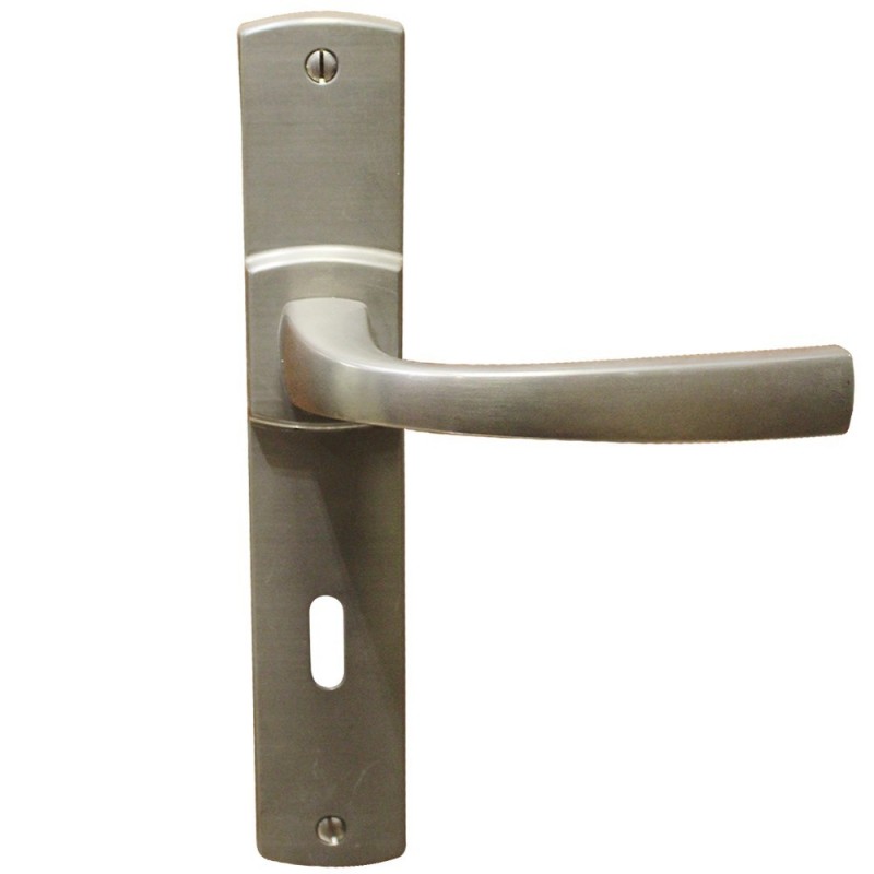 Ensemble de porteplaque muze clé L platine