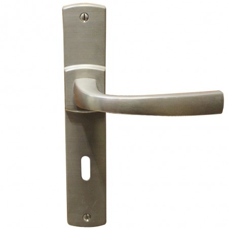 Ensemble de porteplaque muze clé L platine