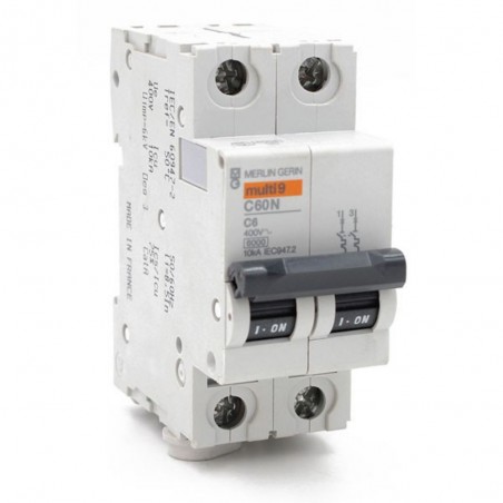 Disjoncteur C60N 2P 6A C