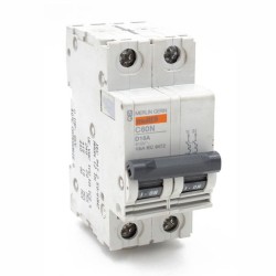 C60N 2P 16A courbe D