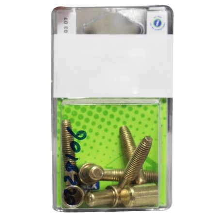 Fiche à visser D13mm