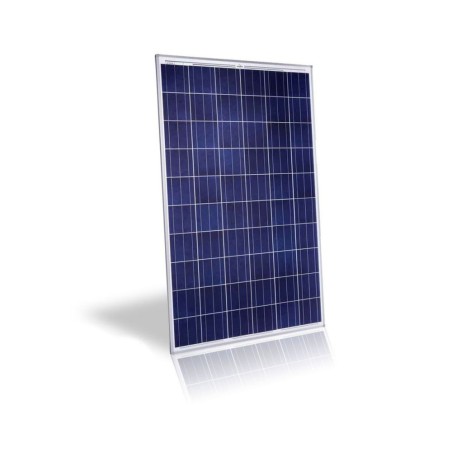 P50 Panneau solaire Nousol 195W* TBL