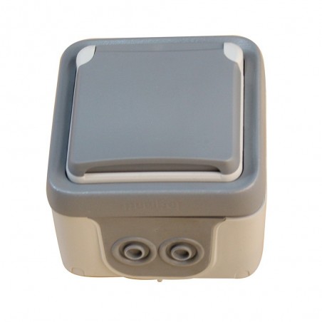 Prise étanche Plexo 2P+T 16 A