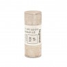 Fusible 50A-gG-22x58