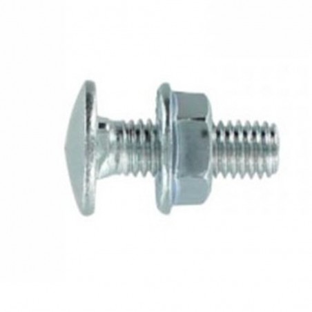 Boulon TRCC 6X20 Zingué*