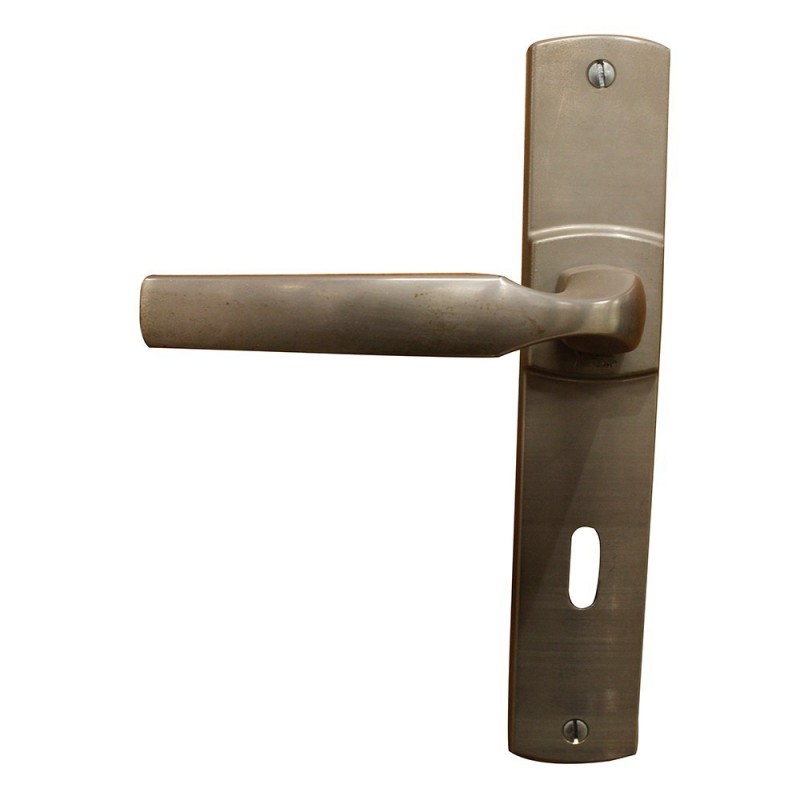 Ensemble de porteplaque artis clé L platine