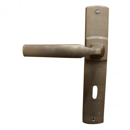 Ensemble de porteplaque artis clé L platine