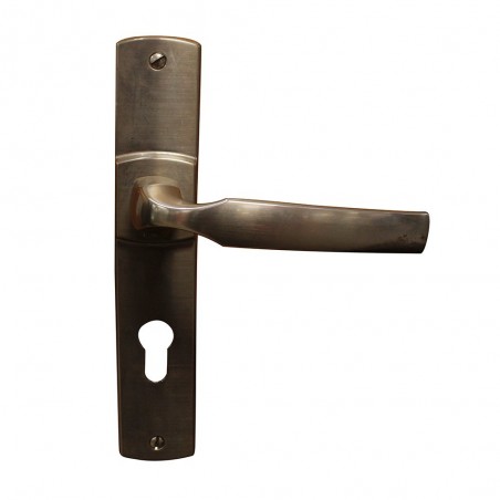 Ensemble plaque avec cylindre en acier finition platine Artis