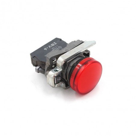 Voyant lumineux rouge D22mm 250V max