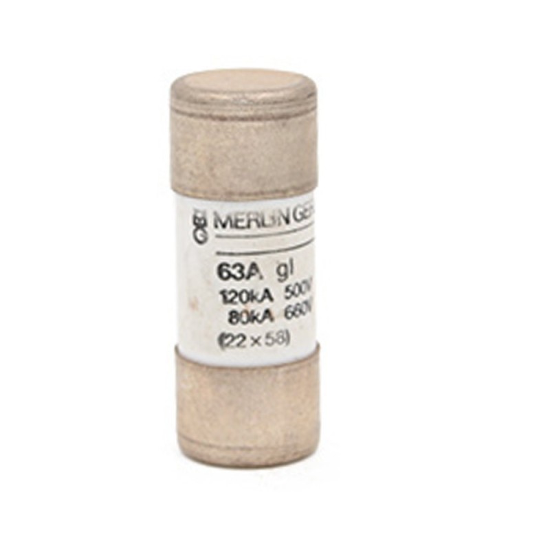 Cartouche fusible industrielle type gG