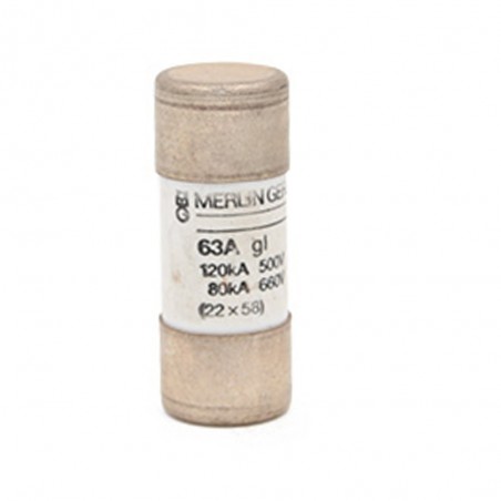 Cartouche fusible industrielle type gG