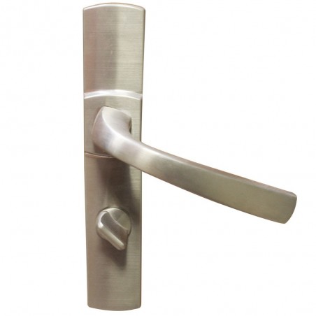 Ensemble de porteplaque muze CDT platine