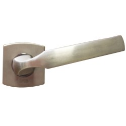 Ens poignée sur rosace artis platine