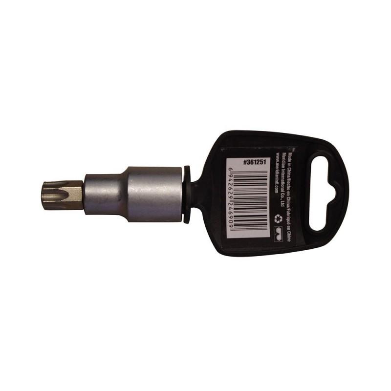 Clé à douille torx embout 55*