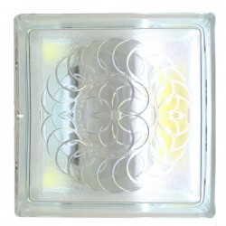 Brique de verre 190x190x80mm Nautiles JH035