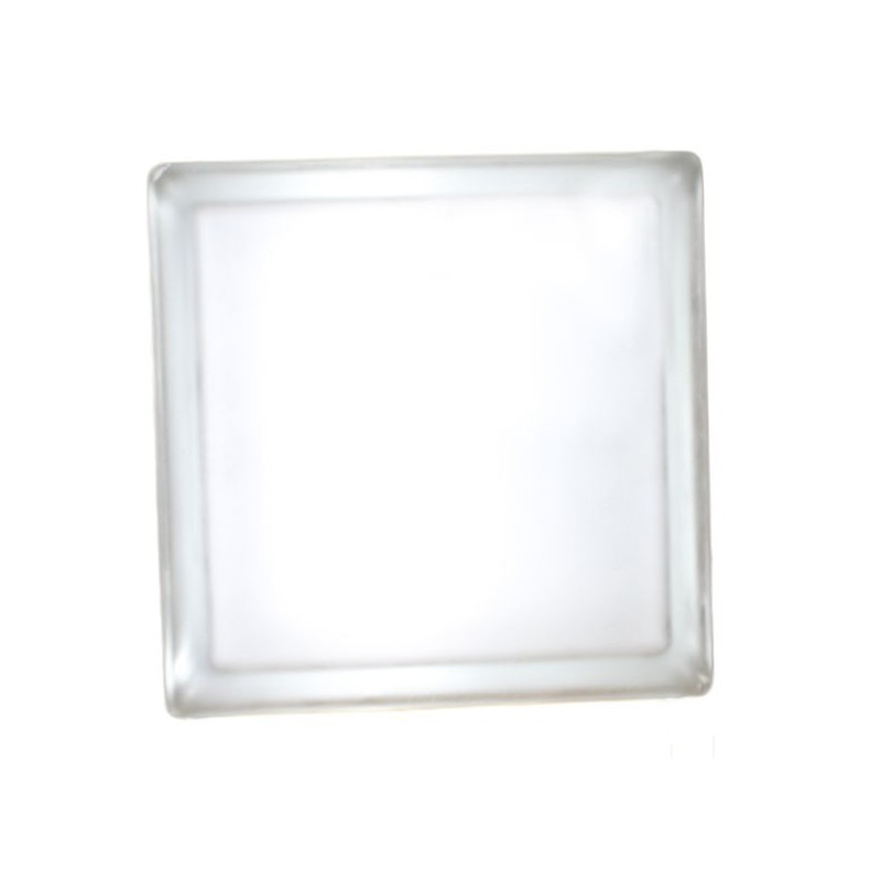 Brique de verre 190x190x80mm misty direct Cléar