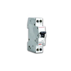 Disjoncteur 1P+N 20A