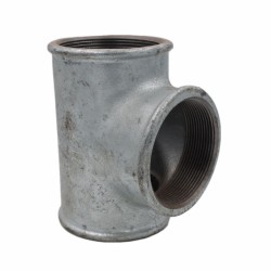 Te égal galva 21-2 femelle femelleF*