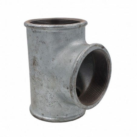 Te égal galva 3 femelle femelle*