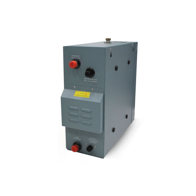 Generateur de vapeur