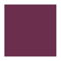 Peinture colorissim satin figue de barbarie 0.5L | Sanifer