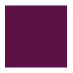 Peinture colorissim satin ultra violet 1L | Sanifer